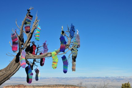 tree socks